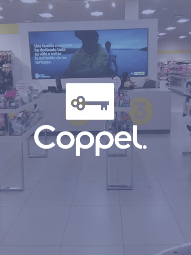 Coppel | Las Brisas, Cabos San Lucas