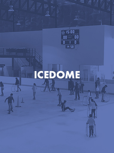 ICEDOME