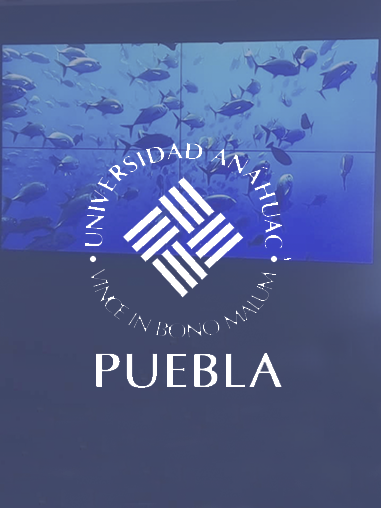 Universidad Anahuac Puebla